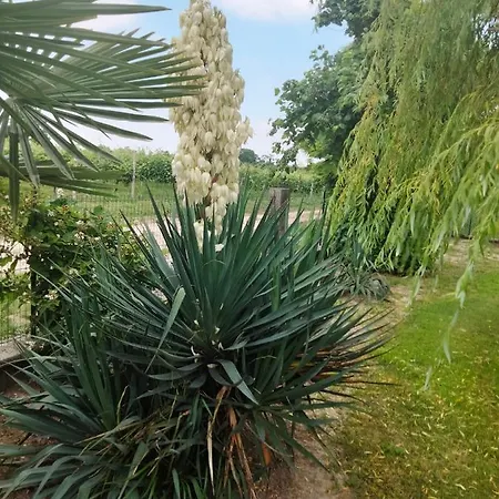 فندق مبيت وإفطار Antico Borgo Leone 4*