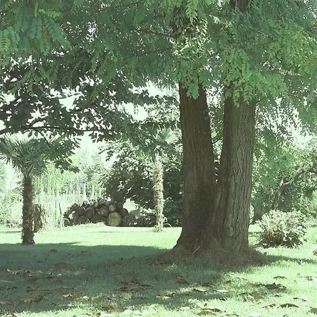 Antico Borgo Leone Rauscedo